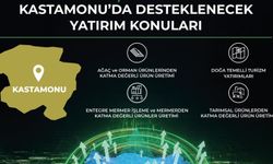 Tosya, İnebolu ve Taşköprü'de yatırım toplantıları yapılacak