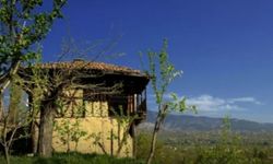 Tosya'da bağ ve bahçelere şerh iddiası tartışma yarattı