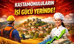 TÜİK açıkladı: Kastamonuluların işi gücü yerinde!