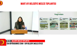 Kastamonu'nun “Yeşil Dönüşüm” planı açıklandı