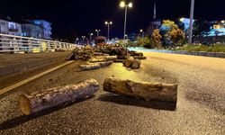 Kastamonu yolunda korkutan anlar: Odunlar yola saçıldı!