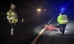 Kastamonu yolunda faciayla burun buruna: 3 yaralı