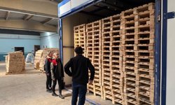 Ahşap ambalaj malzemeleri denetlendi