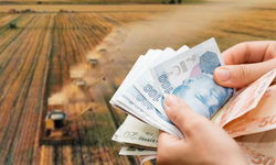 Bitkisel üretimde Kastamonu’ya 290 milyon TL destek