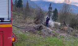 Cide’de ormanlık alandan alevler yükseldi