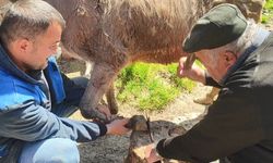Cide’nin köyünde 55 yıldır ata mesleğini sürdürüyor