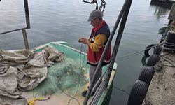 Ginolu Balıkçı Barınağı kontrolden geçti