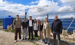 ADD Kastamonu'dan sokak hayvanları için farkındalık ziyareti