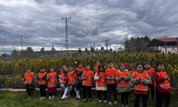 Kastamonu’da minik doğa dostları fidanlıkta buluştu