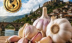 Kastamonu'dan Taşköprü sarımsağı dünya listesine damga vurdu