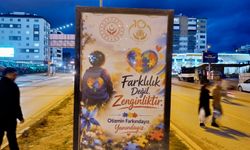 Otizm farkındalığı Kastamonu’nun dört bir yanına taşındı