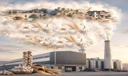 Tek festivalle baca tütmüyor!