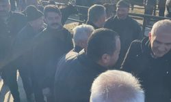 Kurbanlık satışları Kastamonu ekonomisini canlandırdı