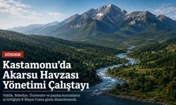 Kastamonu’da Akarsu Havzası Yönetimi Çalıştayı düzenlenecek