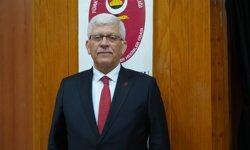 Kene gördüğünüzde ne yapmalısınız? İşte hayat kurtaran talimatlar