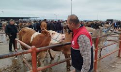 Bayrama bir hafta kala Kastamonu’da denetim sürüyor