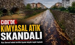 Cide deresine kimyasal atık verildi