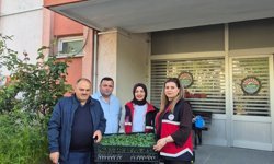 Cide’de sebze fidesi dağıtıldı