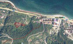 Orman İşletme milyonluk arsa satın aldı