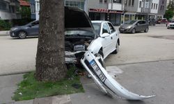 Kastamonu’da kontrolden çıkan otomobil ağaca çarptı