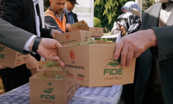 Kastamonu Belediyesi 60 bin fideyi ücretsiz dağıttı