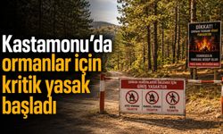 Kastamonu’da ormanlar için kritik yasak başladı