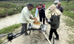 Kastamonu’da çeltik üretiminde teknoloji fark yaratıyor