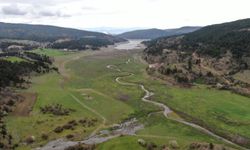 Kastamonu’da suyun çekildiği baraj gölü meraya dönüştü