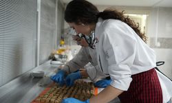Kastamonu’dan gluten hassasiyeti olanlara yöresel lezzet müjdesi