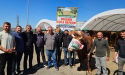 Kastamonulu üreticilerin İstanbul’da bayram telaşı