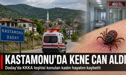 Kastamonu'da kene yapışan kadın hayatını kaybetti