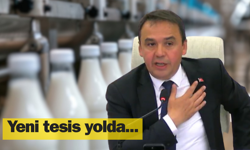 Kastamonu Belediyesi süt ve peynir üretimine hazırlanıyor!
