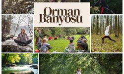 Orman Banyosu ile Kastamonu’da doğa turizmine yeni vizyon