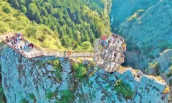 KUZKA'dan Kastamonu için yeni üretim modeli