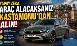 Yapay zeka: Araç alacaksanız Kastamonu'dan alın!