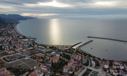 Cide'de deniz suyu analizi tamamlandı: İşte sonuçlar!