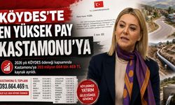 Türkiye'nin en yüksek destek payı Kastamonu'ya verilecek