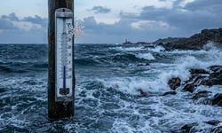 İnebolu kıyılarında 'Upwelling' şoku: Çok soğuk!