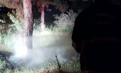 Kastamonu'da gece saatlerinde alevler yükseldi
