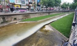 Kastamonu Karaçomak Deresi'nde tedirgin eden görüntü