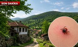 Kastamonu’da kene yapışan genç hastaneye kaldırıldı