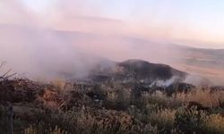 Kastamonu'da çöplük alan alevlere teslim oldu