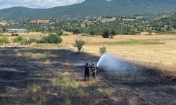 Kuru otlar tutuştu, yangın çıktı
