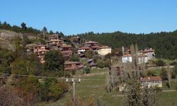 Kastamonu'da kaçak kazı yapılan yer sit alanı oldu