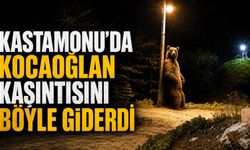 Kastamonu'da kocaoğlan kaşıntısını böyle giderdi!