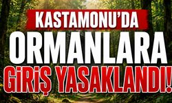 Kastamonu'da ormanlara giriş yasaklandı