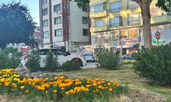 Kastamonu’daki trafik kazasında kaldırıma çarptı