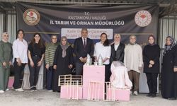 Kastamonu’da 'Pembe Maskeliler' arı sütü üretimine başladı