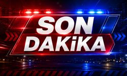Kastamonu'da geri manevra yapan kamyonet yaşlı kadına çarptı