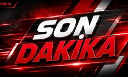 Kastamonu'da tomruk mesaisinde facia: 1 ölü